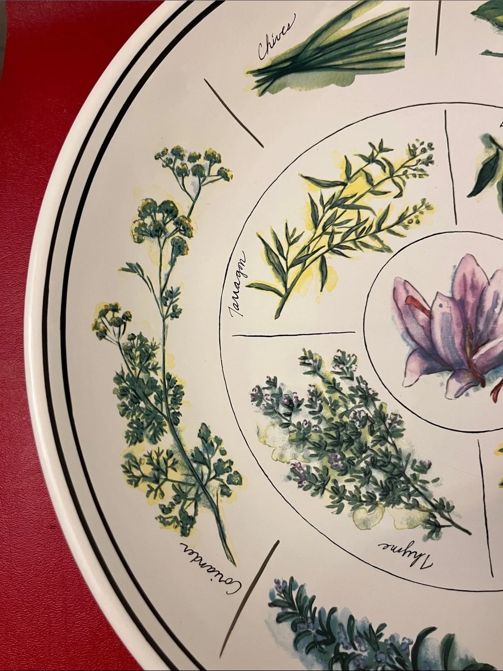 WILLIAMS-SONOMA Portugal,12”3/4 D 2”3/4 H Design Ceramic PASTA SERVING BOW